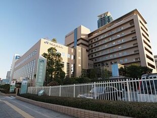 ライオンズマンション阿倍野阪南町第2の物件内観写真